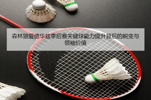 森林狼爱德华兹季后赛关键球能力提升背后的蜕变与领袖价值